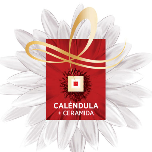 Crema de lavado Elvive Total Repair 5 Low Shampoo 3 en 1 X 400 Ml - Imagen 4