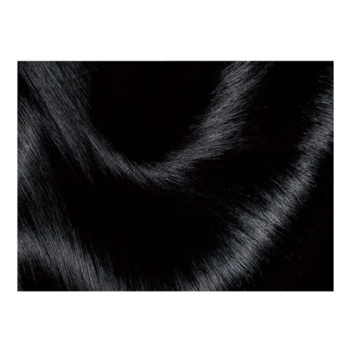 Tintura Permanente en Kit Excellence  1 Negro X 1 U - Imagen 5