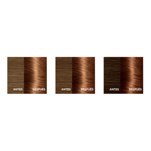 Tintura Permanente en Kit Excellence  6.34 Chocolate X 1 U - Imagen 4