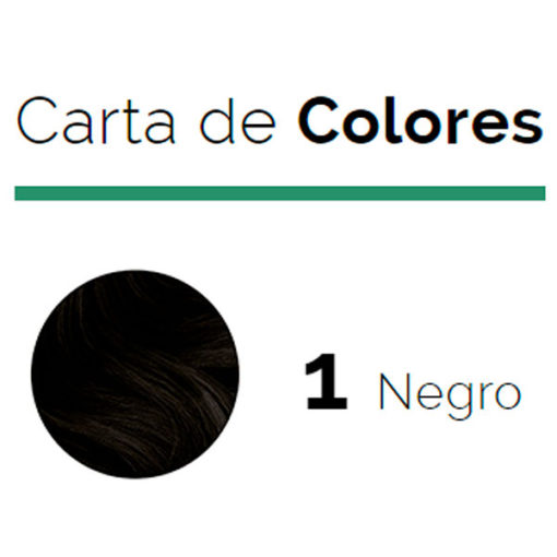 Tintura Issue Sin Amoniaco Negro 1 X Kit - Imagen 2