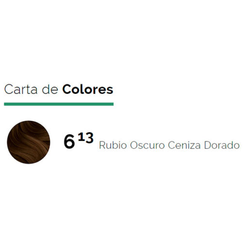 Tintura Issue Sin Amoniaco Rubio Oscuro Ceniza Dorado 6.13 X Kit - Imagen 2