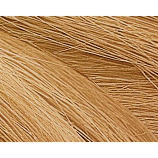 Tintura en Kit Issue Brillo Extremo 9.3 X 1 U - Imagen 2