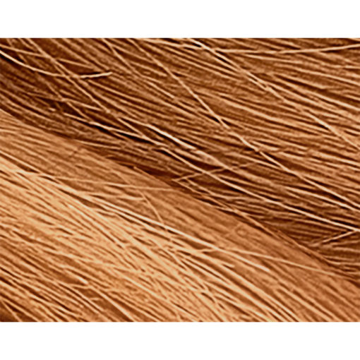 Tintura en Kit Issue Brillo Extremo 8.3 X 1 U - Imagen 2