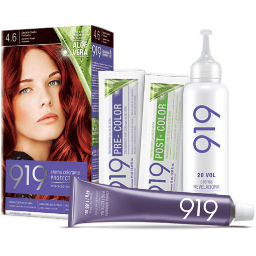 Tintura Permanente en Kit 919  4,6 X 1 U
