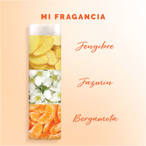 Acondicionador Sedal  Jengibre y Ricino X 190 Ml - Imagen 4