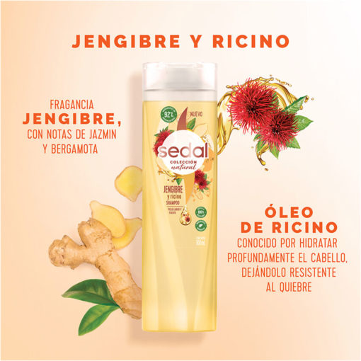 Acondicionador Sedal  Jengibre y Ricino X 190 Ml - Imagen 5