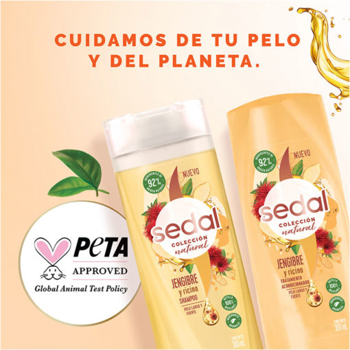 Acondicionador Sedal  Jengibre y Ricino X 190 Ml - Imagen 6