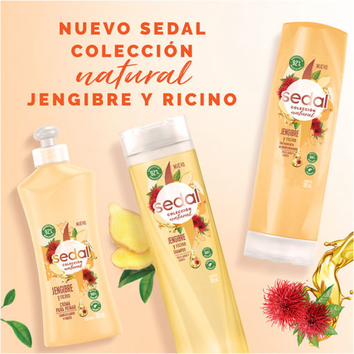 Acondicionador Sedal  Jengibre y Ricino X 190 Ml - Imagen 7