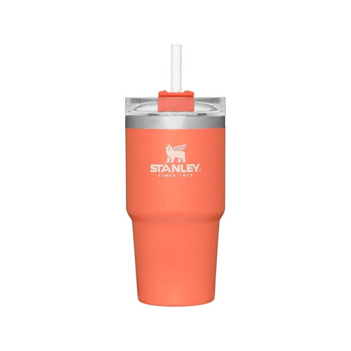 Vaso Térmico Tumbler Stanley Adventure Series Coral X 590 Ml