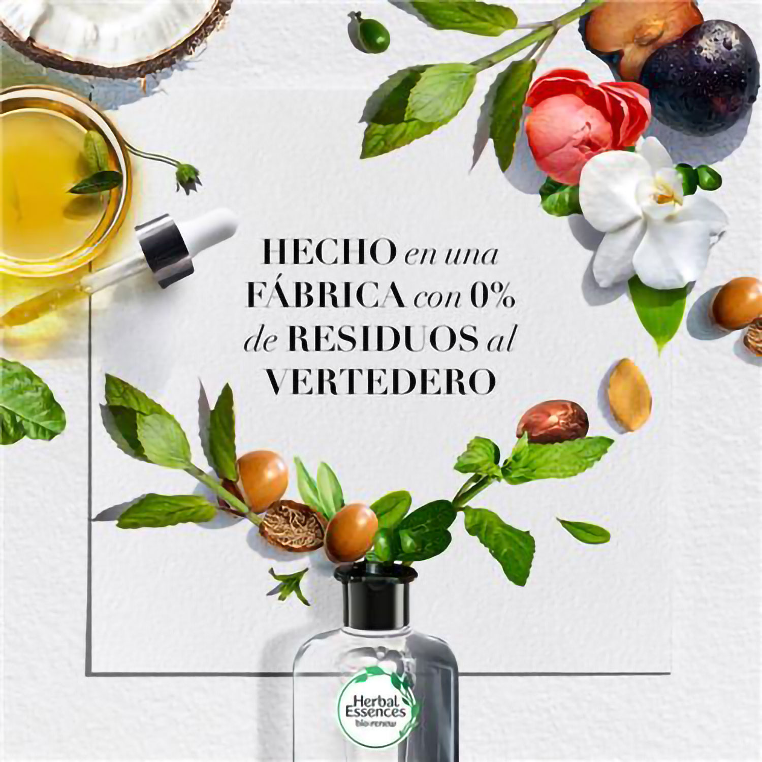 Shampoo Herbal Essences Rosemary & Herbs X 400 Ml - Imagen 3