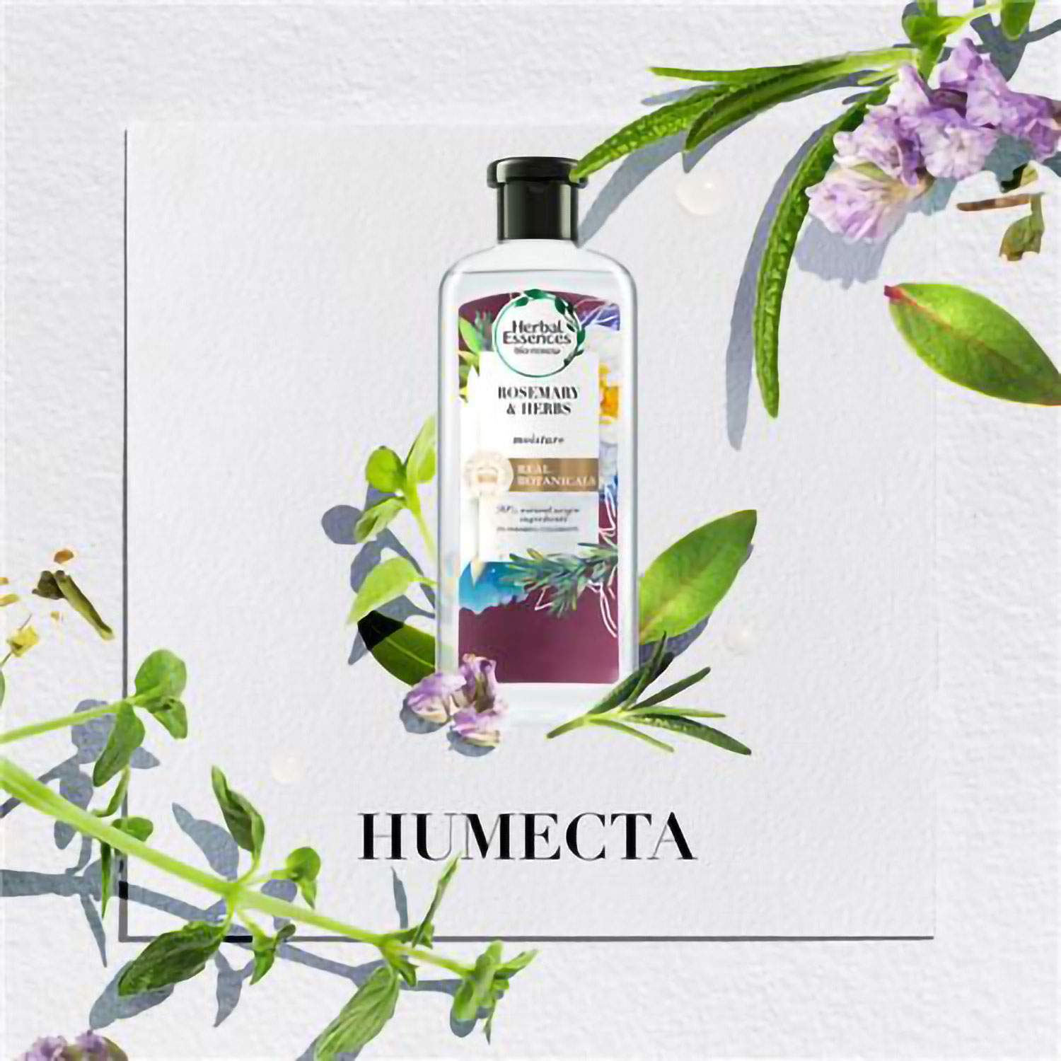 Shampoo Herbal Essences Rosemary & Herbs X 400 Ml - Imagen 5