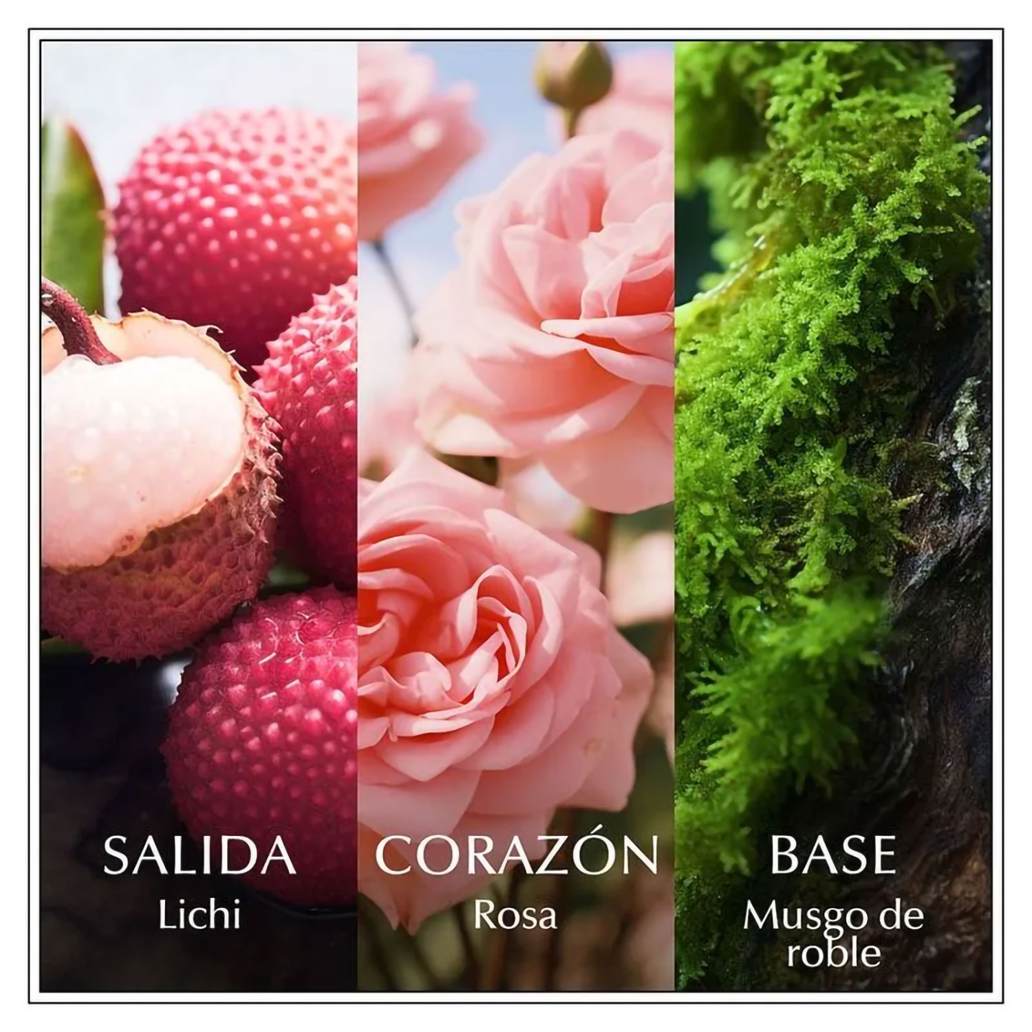 Perfume Chanson Rose X 100 Ml - Imagen 4