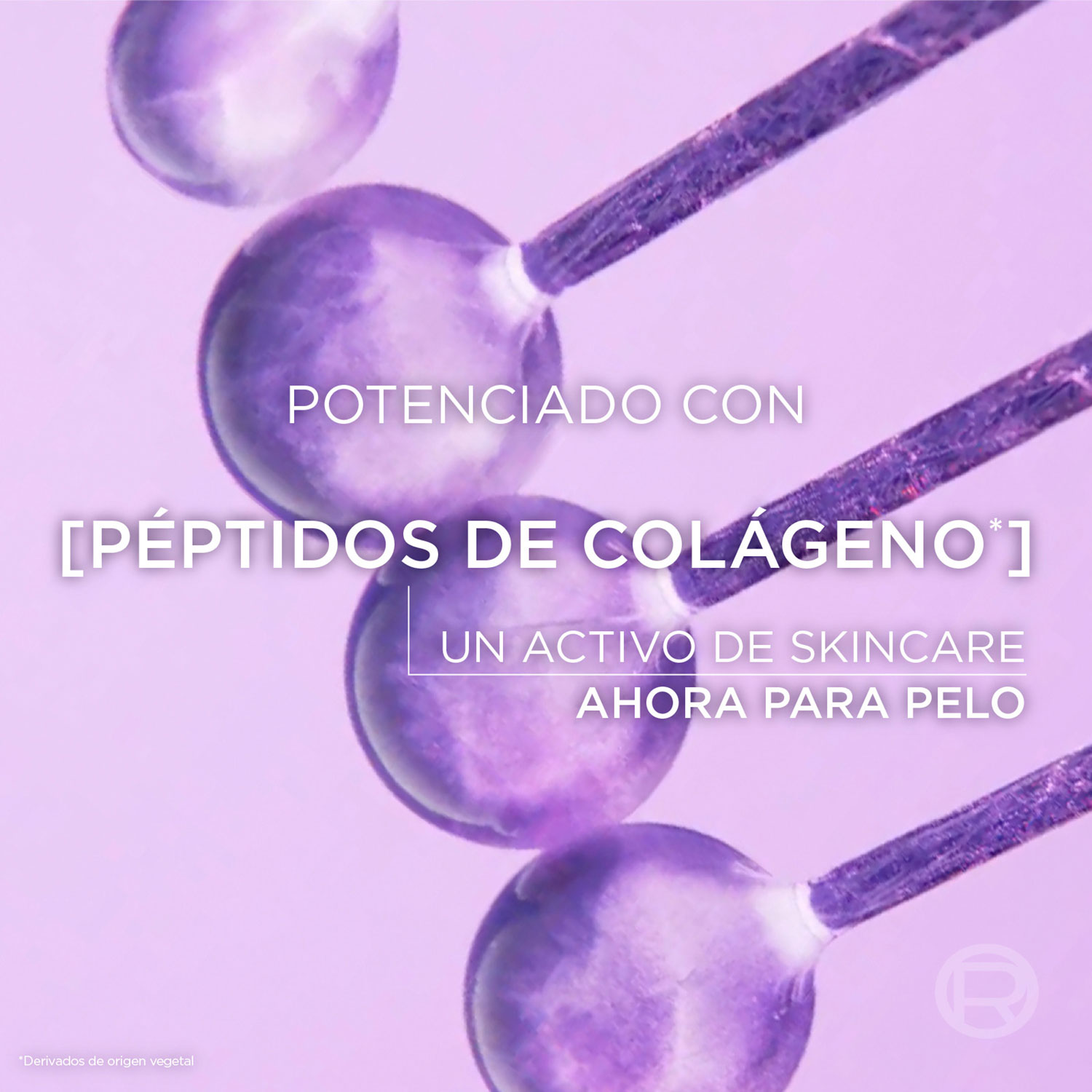 Exhibidor Cuidado Capilar Elvive Collagen Lifter X 14 U - Imagen 4